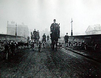 The Oakley Hunt crossing Bedford Bridge 1909 [CRT130Oakley8]